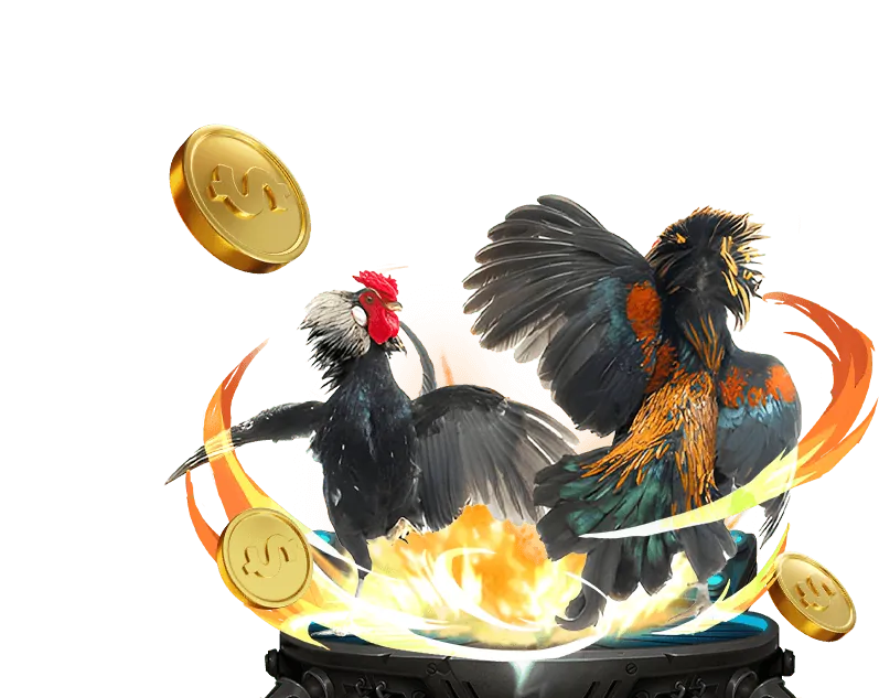 Người cần hỗ trợ về cờ bạc đang được tư vấn tại JDB Casino
